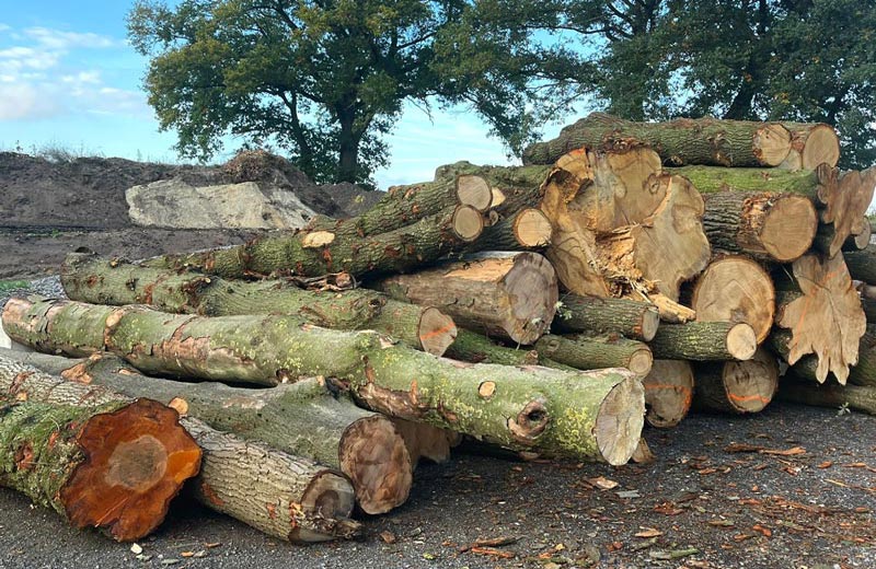 ganterholz-kaminholz